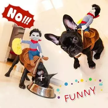 Прекрасная верховая догма с ковбойской шляпой, собака, кошка, забавный золотистый ретривер, Хэллоуин, вечеринка, Cu M белый