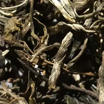 Premium Quality Yunnan Teng Tiao Loose Leaf Raw Pu er Tea 500g Healthy Drink