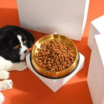 Premium Rust-Resistant Stainless Steel Pet Bowl-Non-Slip Silicone Base for Stable Mealtime,Dogs & Cats,Easy to Clean and Durable золотистый