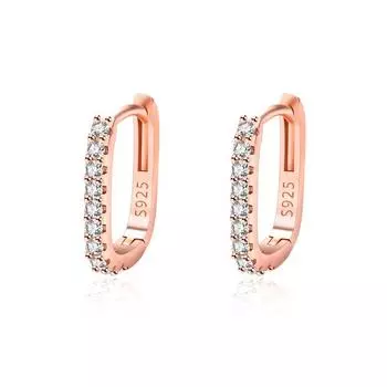 Premium Sense Ins Earrings Zirconia Hollow Geometric Earbuckle Feminine Simple Small Earrings Accessories серебряный