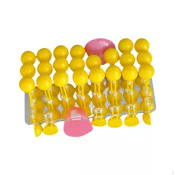 Преподавательская модель структуры мембраны Ресурсы для изучения Научные модели Премиум-преподавание для