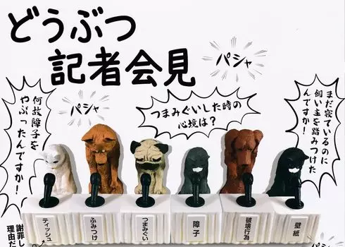 Пресс-конференция животных [Набор из 6 видов (Полный Полный)] Игрушка-капсула Gacha Gacha