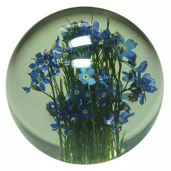 Пресс-папье HafodGrange Flower S HG18S Forget-me-not