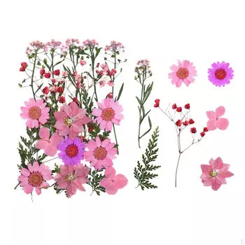 Прессованные сушеные цветы, листья, наборы, украшения для рукоделия, сухой прессованный цветочный набор, настоящий