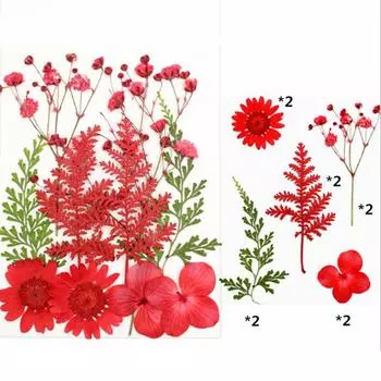 Прессованные Цветы Смешанные Сухоцветы Цветочные Искусства Своими Руками Цветочные Поделки Своими Руками Подарочные Ремесла красный