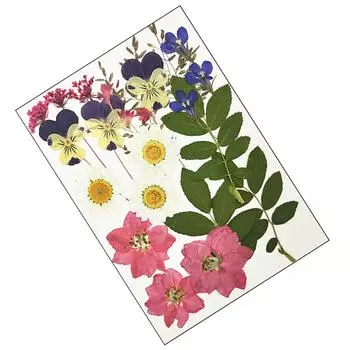 Прессованные цветы Украшения для лица Свадебные принадлежности Цветы из смолы Ручная работа Мастерство Скрапбукинг Реквизит DIY Аксессуар