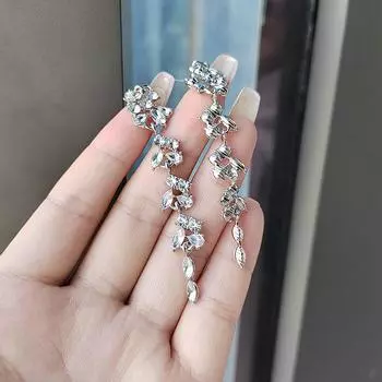 Преувеличенные длинные серьги с бахромой из циркония женские серьги-гвоздики Ins Tide Light Luxury Niche