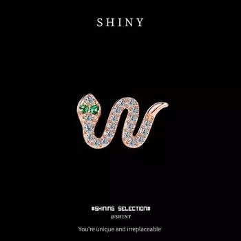 Преувеличенные серьги-змеи из стерлингового серебра 925 пробы для осени/зимы 2025 года — модный европейский и американский стиль. 925 Silver платиновый