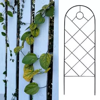 Превосходное стабильное широко используемое растение, вьющееся по решетке, опорные растения H Potter Garden для дома