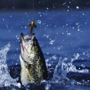Приманка с высокой частотой колебаний, увеличение скорости рыбалки, заманчивая реалистичная приманка с Т-образным хвостом, искусственные приманки