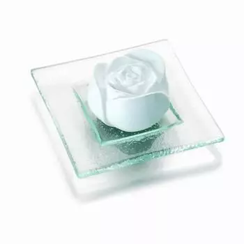 Primavera Аромат Каменная Роза Цветок 1St