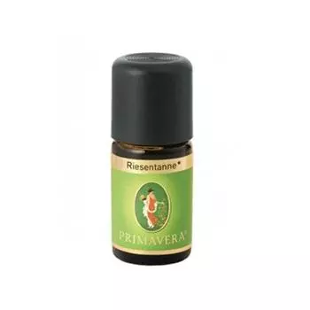 Primavera Grand Fir Oil 5ml