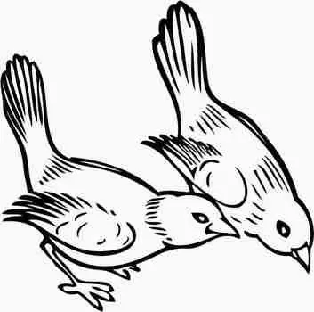 Printtoo Birds Pattern Scrap-booking Square Brown Wooden Rubber Stamps Craft Stamps-2 x 2 2 x 2 Inches коричневый