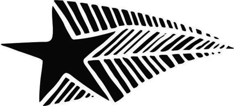 Printtoo Diary Card Flying Star Design Square Wooden Rubber Stamp Scrap-Booking-2 x 2 2 x 2 Inches коричневый