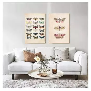 Природа Дети Образовательный Плакат Детские Настенные Художественные Фотографии Холст Картины Детская Комната Украшения Винтаж Бабочки Отпечатки Насекомых 21cm30cm NoFrame