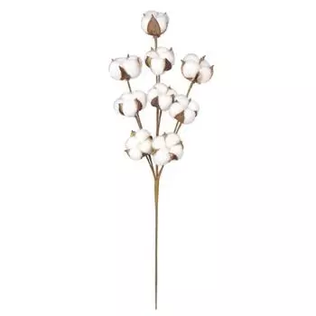 Природные Белый хлопок Болл Стебли Цветы Филиалы Farmhouse Rustic Стиль Вазы Дисплей Наполнитель Цветочный Свадебный Центральный Украшения