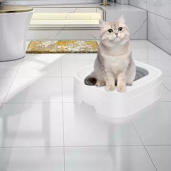 Приучение кошки к туалету Чистота и гигиена Самопомощь под руководством руководства Ходить в туалет в фиксированном месте Научите кошку пользоваться туалетом