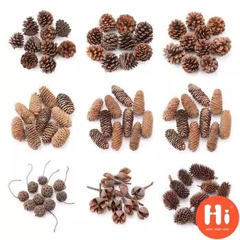 Привет дом DIY гирлянда реквизит для фотографий Свадебные украшения для рождественской елки Сосновая шишка Натуральные сосновые шишки Сушеные растения Привет 7