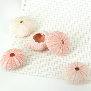 Привлекательная морская ракушка своими руками, естественная атмосфера, хорошая ракушка морского ежа, украшение для аквариума, цветочного горшка A