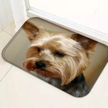 Привлекательный ковер, добавляющий жизненной силы, легкий модный невыцветающий напольный коврик для дома 4