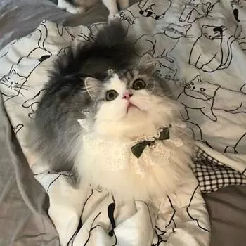 Прочное очаровательное креативное ожерелье для собак, милые кошки, собаки, бант, шейный платок с колокольчиком для фотографии M зелёный