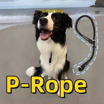 Прочный поводок-удавка, удобный, прочный поводок-веревка для больших и средних собак, поводок для дрессировки домашних животных без рывков XS 40CM