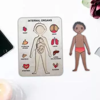 Прочный Развить Терпение Практические способности Легко собрать детей дошкольного возраста Образовательная головоломка человеческого тела для ежедневных развлечений 3D