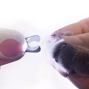 Профессиональные машинки для стрижки когтей для кошек, ножницы для резки кошек со светодиодной подсветкой, машинки для стрижки когтей для домашних животных, ножницы для ухода за когтями для маленьких собак, кошек синий
