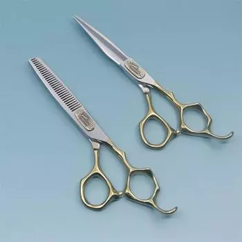 Профессиональные ножницы для стрижки волос для парикмахеров и барберов, плоские ножницы из высококачественной нержавеющей стали, набор ножниц для сломанных волос Straight & Stainless Steel & Fine Polished & 170