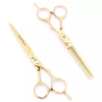 Профессиональные парикмахерские ножницы 5,5 6 японские нержавеющие ножницы для стрижки волос филировочные ножницы ножницы для волос Z1020