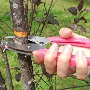 Профессиональный садовый инструмент из нержавеющей стали, секатор для снятия коры с кольцевым ножом для фруктовых деревьев розовый