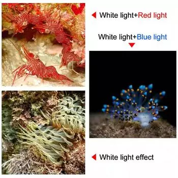 Профессиональный светодиодный фонарь для дайвинга 18000LM COB тактический фонарь IPX8 водонепроницаемый бликовый свет для видеокамеры белый синий красный заполняющий свет