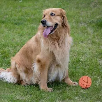 Professional Rubber Pet Dog Basketball Funny Kids Pet Dog Toy Squeaky Ball High Quality Pet Dog Cat Interactive Training Tools 7CM