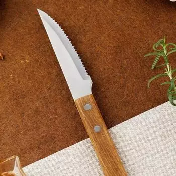 Профессиональный нож для стейка из нержавеющей стали, нож для барбекю, нож для фруктов и овощей, нож для мяса, разделочный нож, нож для чистки и резки, деревянная ручка