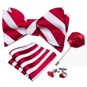 Прохладный мужской галстук-бабочка, носовой платок, запонки, бутоньерка, красный, черный, белый цвет, шелковый галстук-бабочка, галстук-бабочка, свадебное свидание LH-1027