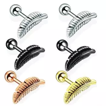 Простые перья ушные кости ногти хрящ из нержавеющей стали студенческие серьги уха серебряный