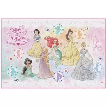 Простыня для отдыха скейтера S-размер 60 x 90 см Disney Princess 23 VS1-A