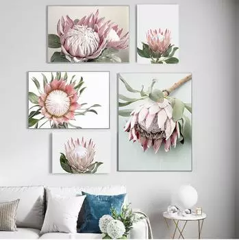 Protea King Цветочное Растение Картина Ботанический Художественный Плакат Скандинавские Цветочные Настенные Искусства Печать На Холсте Картина Современное Украшение Гостиной Без Рамки 21*30cm