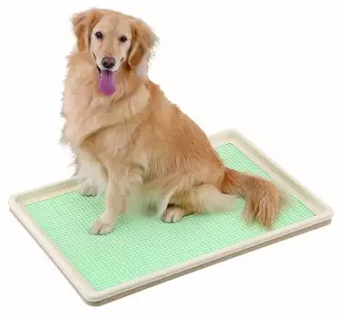 Противень для намазки Bonbi XL сетчатый тип PP зелёный