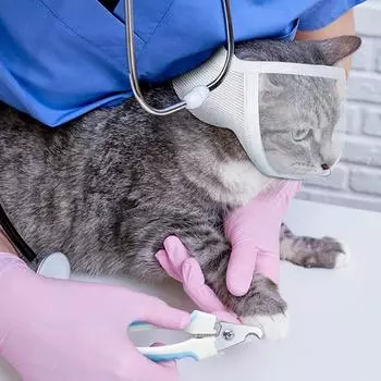 Противоцарапающая с отверстием для дыхания регулируемая маска для кошек намордник для ухода за котятами инструменты для ухода за домашними животными S