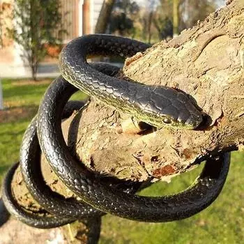 Противовыцветающая шутка-симуляция змеи, гибкая модная креативная игрушка