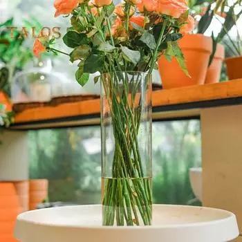 Прозрачная цилиндрическая ваза для цветов, свадебная вечеринка, обеденный стол, центральный элемент, гидропонный держатель для цветов, прозрачный контейнер для растений, украшение M