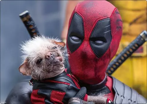 Прозрачная художественная доска Marvel B5 Deadpool Wolverine D [Inlock] &
