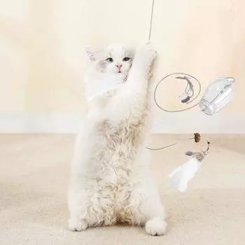 Прозрачная кошка течет еда перья игрушки настенная кошка интерактивная игрушка для домашних животных прозрачный