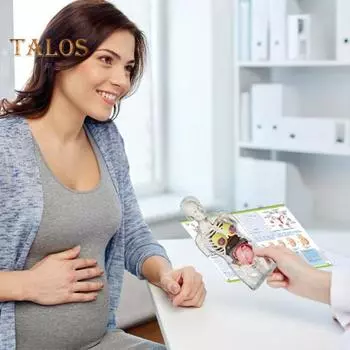 Прозрачная модель беременности 4D Vision Модель анатомии человека Модель торса Медицинская коллекционная фигурка с полностью съемными органами для студентов и профессионалов