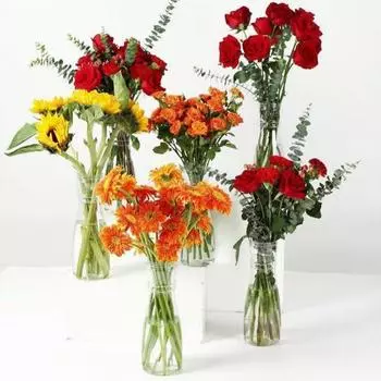 Прозрачная пластиковая ваза в скандинавском стиле, контейнер для цветочной композиции, креативные гидропонные вазы для цветов, декор для гостиной и стола 1PCS