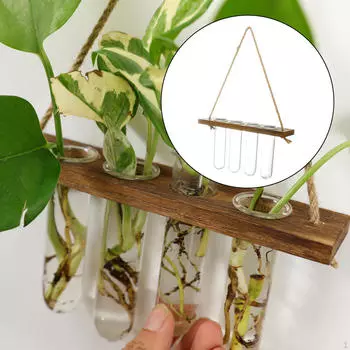 Прозрачная подвесная ваза для террариума из стекла для дома 1 Layer 4 Tube