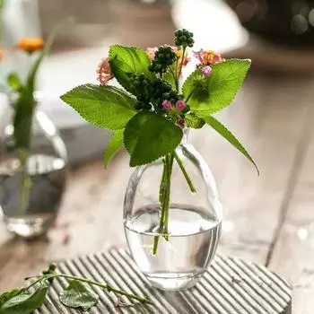 Прозрачная стеклянная ваза для семян авокадо, ваза для начинающих, набор для выращивания семян, ваза для выращивания авокадо, подарок для любителей садоводства, домашний декор