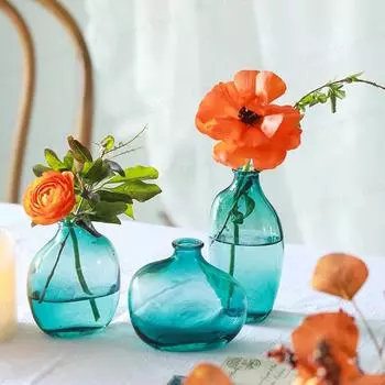 Прозрачная стеклянная ваза в скандинавском стиле Небольшие нестандартные гидропонные вазы Свежие цветы Зеленые растения Украшения для цветочных композиций