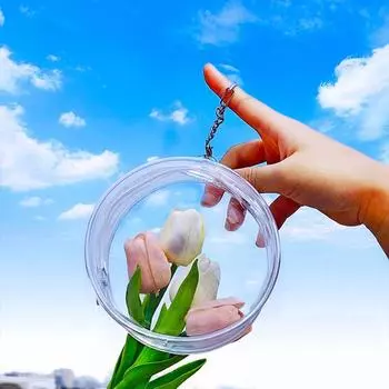 Прозрачная сумка для кукол из мультфильмов, прозрачный защитный чехол для кукол из хлопка